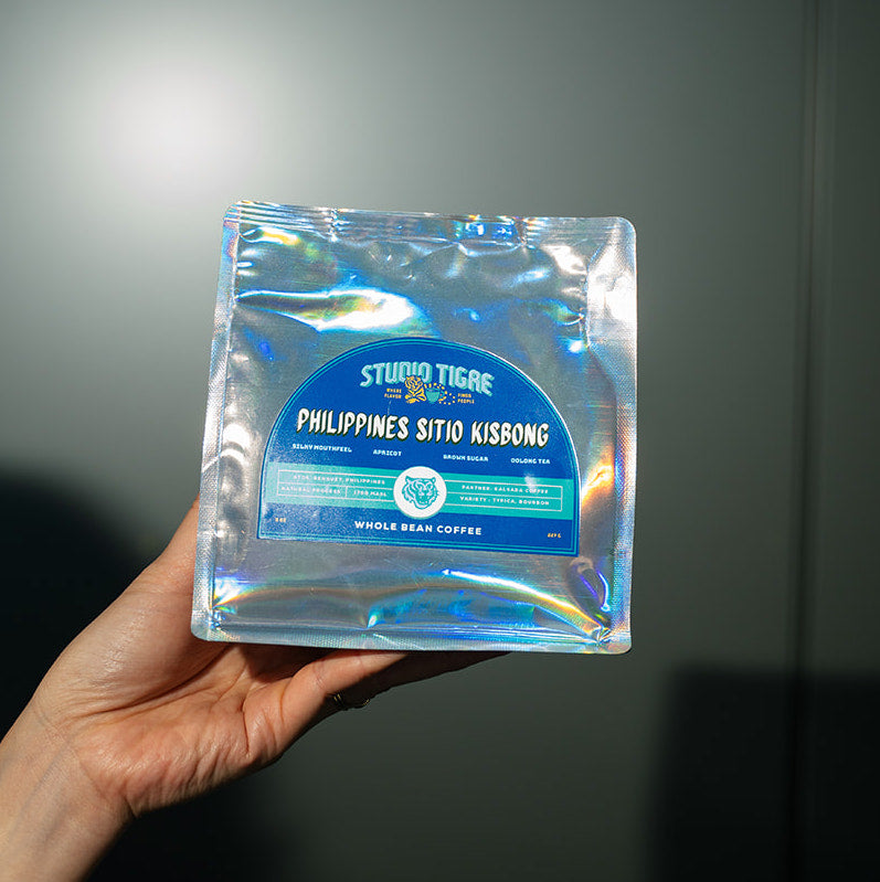 Philippines Kalsada Sitio Kisbong: Natural Process